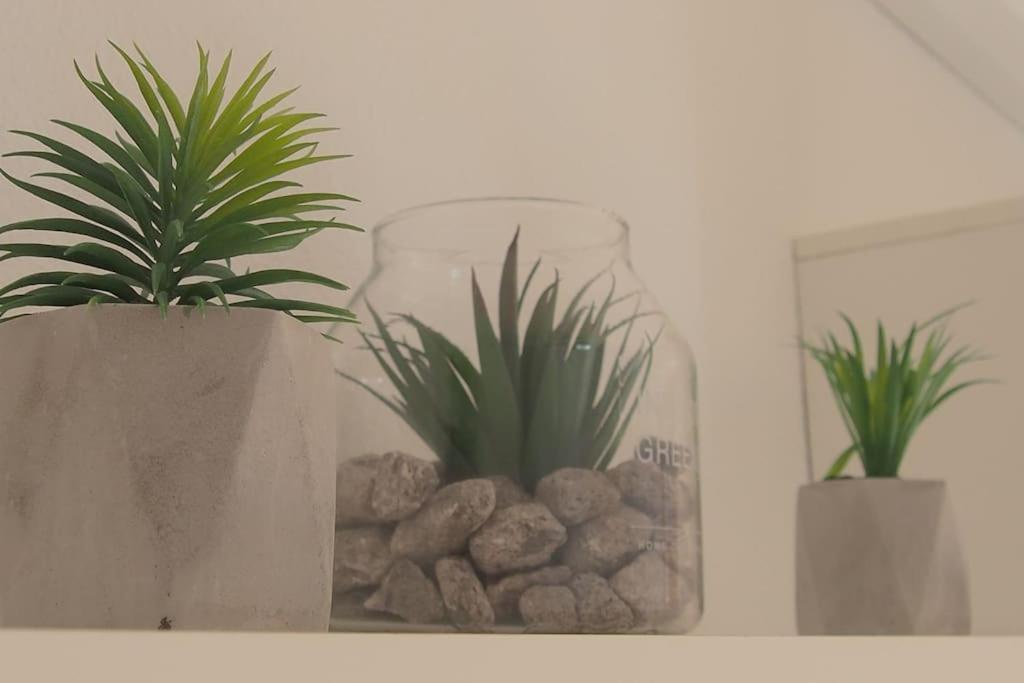 Superbe Appartement Pres De La Plage! サンタ・ポラ エクステリア 写真