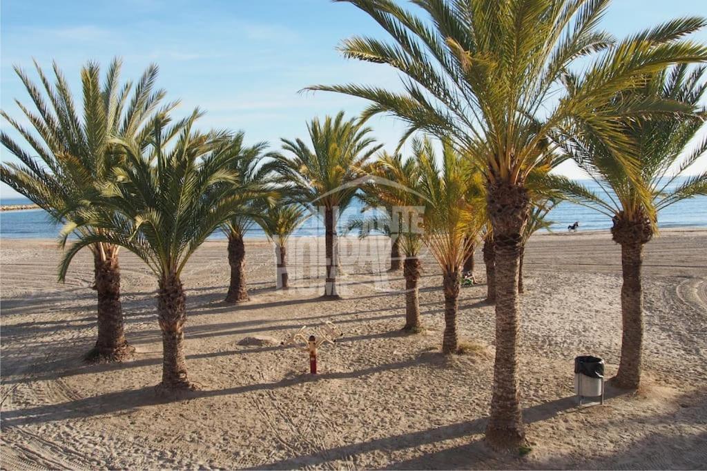Superbe Appartement Pres De La Plage! サンタ・ポラ エクステリア 写真
